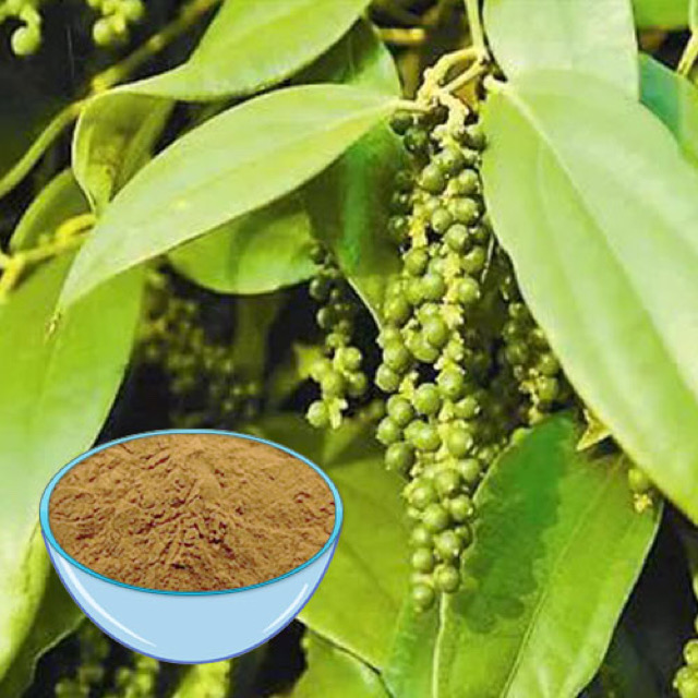 Black Pepper Extract