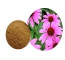  Echinacea extract's professional introduction