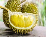 Durian powder's introduction