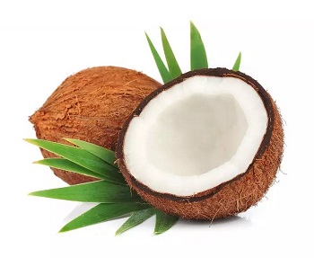Is coconut powder good for weight loss?