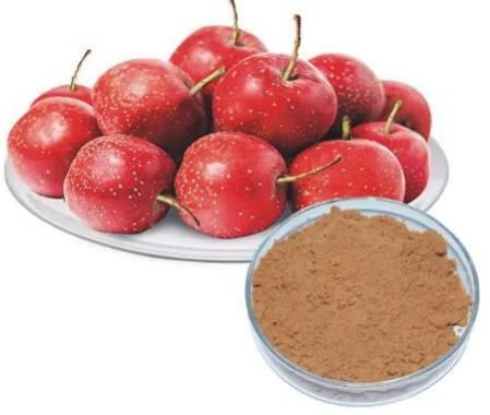 Briefing of hawthorn berry extract and its health benefits