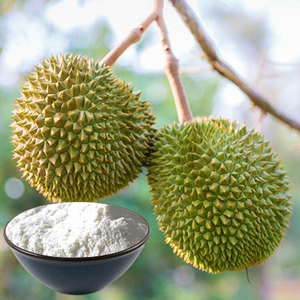 Durian Powder