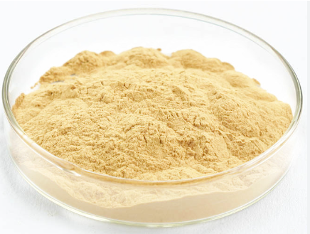 Ginseng extract properties, uses and production process