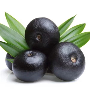Acai Berry Extract Powder