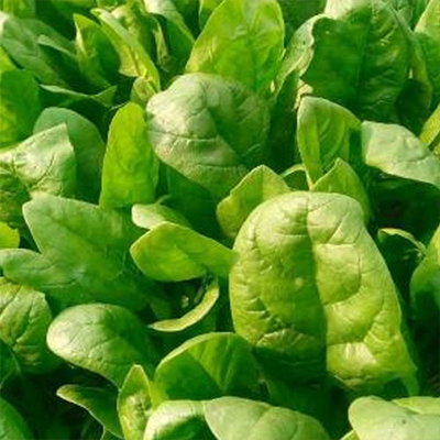 Spinach Powder